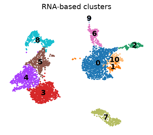 RNA clusters