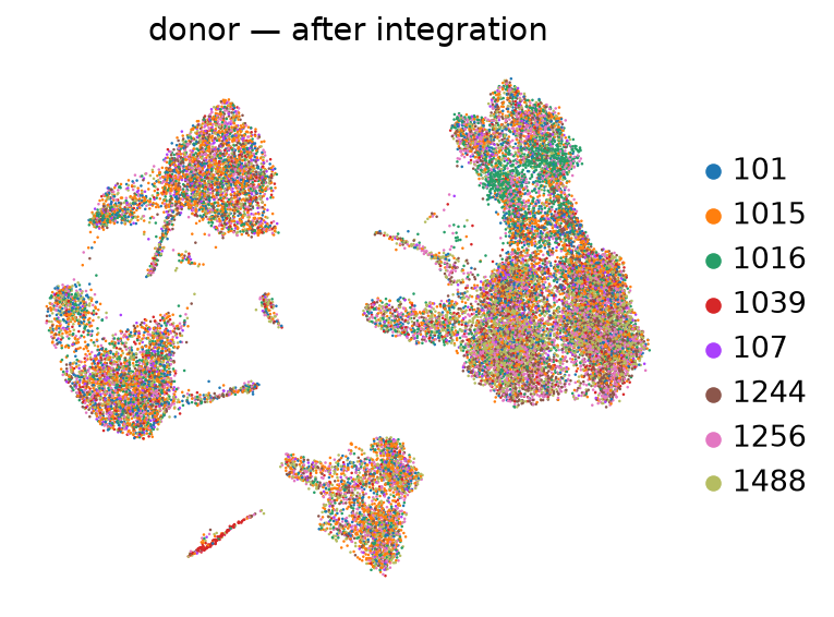 Donors after