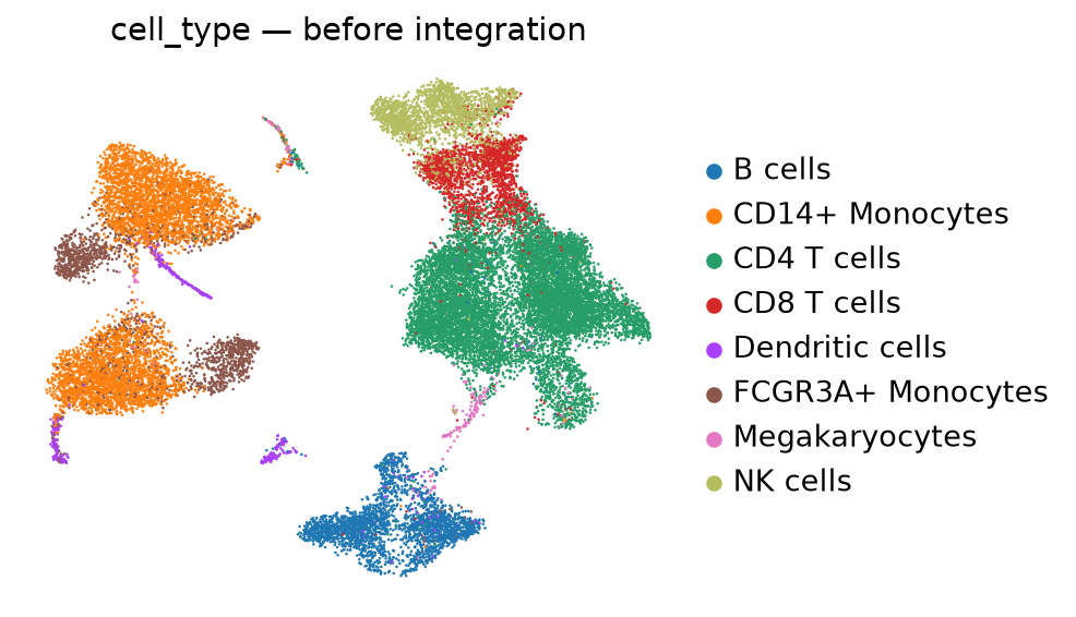 Cell types before