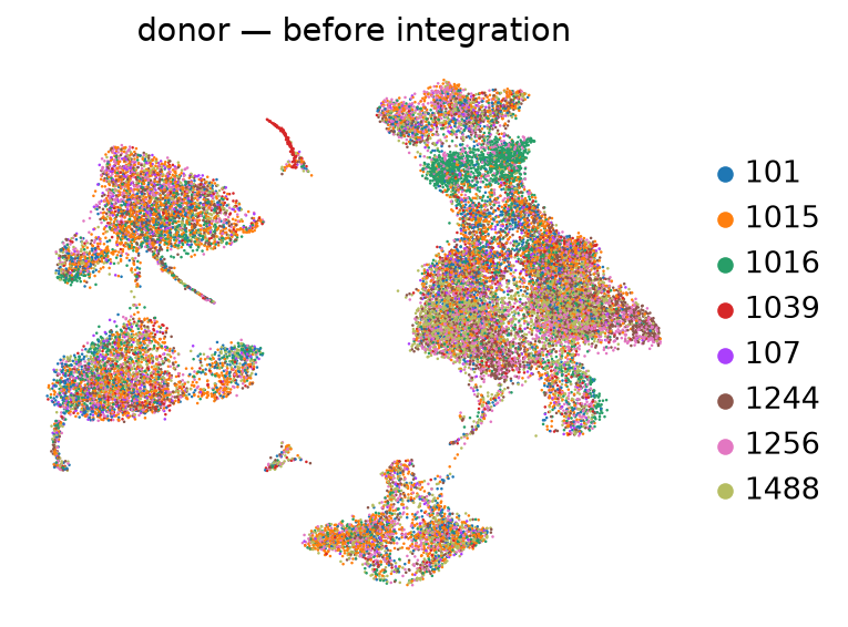 Donors before