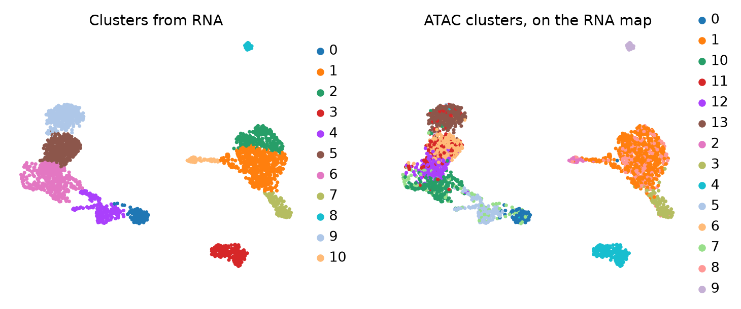 RNA clusters and ATAC clusters on the same UMAP