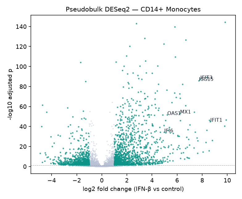 Pseudobulk volcano plot