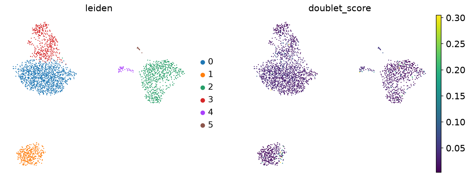Doublet scores on UMAP