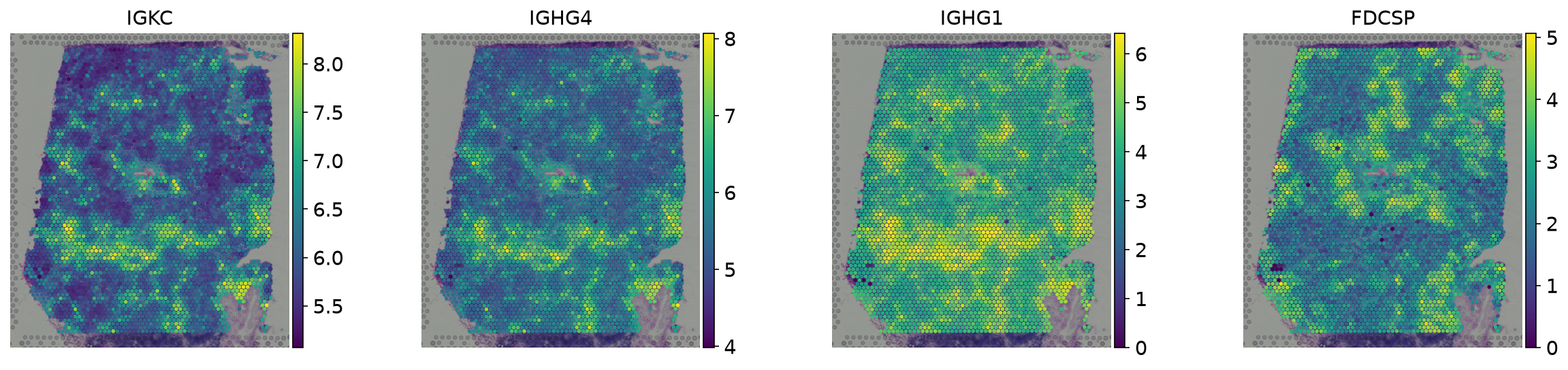 Top spatially variable genes on tissue