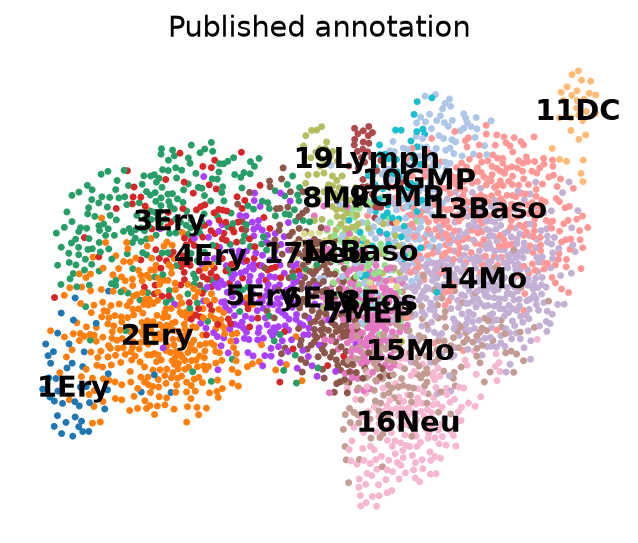Cell groups on the force-directed layout
