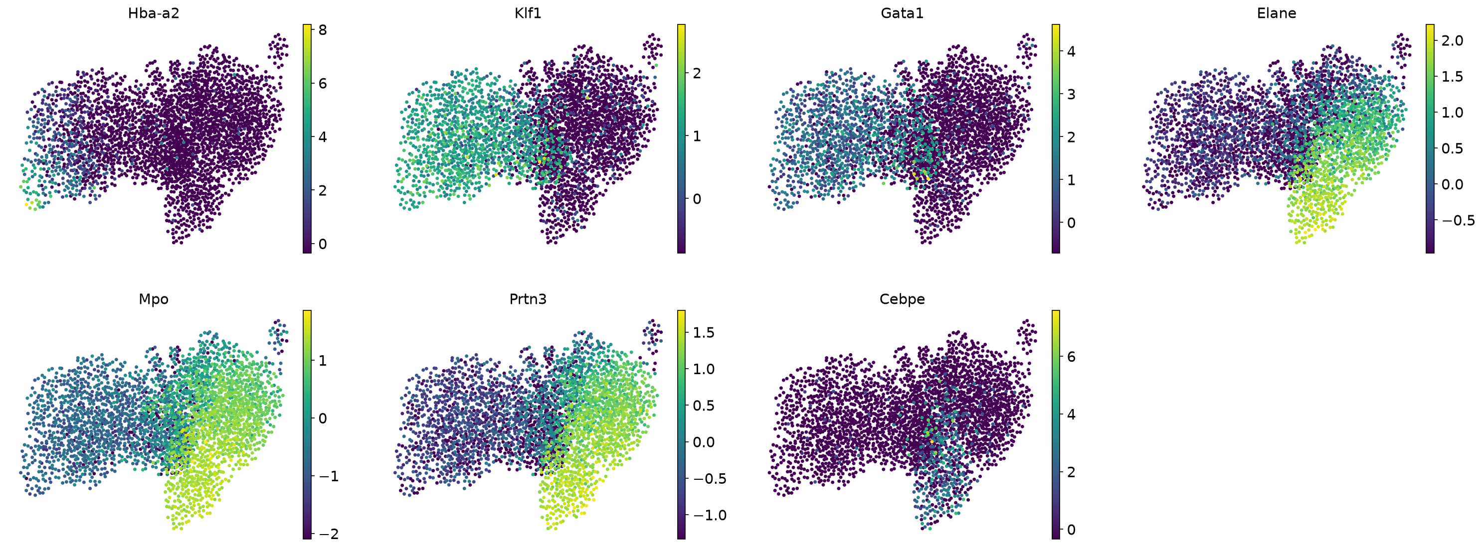 Branch marker genes