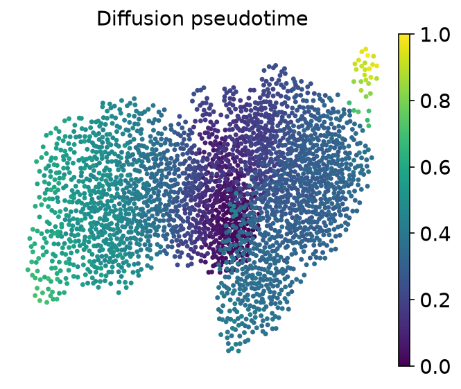 Diffusion pseudotime