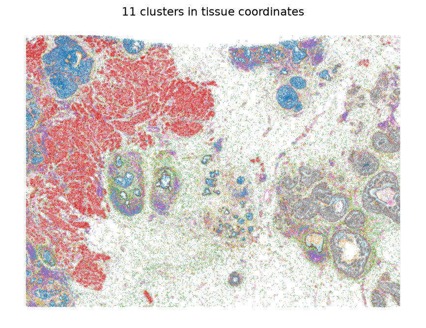 Clusters plotted in tissue coordinates