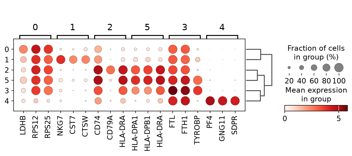 Marker gene dot plot
