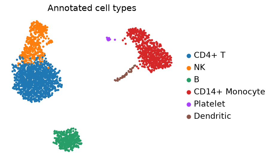UMAP annotated cell types