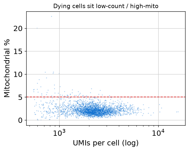 UMI vs mitochondrial scatter
